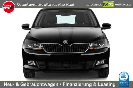 Gebrauchtfahrzeug Skoda Fabia Combi - 1.0 TSI Monte Carlo