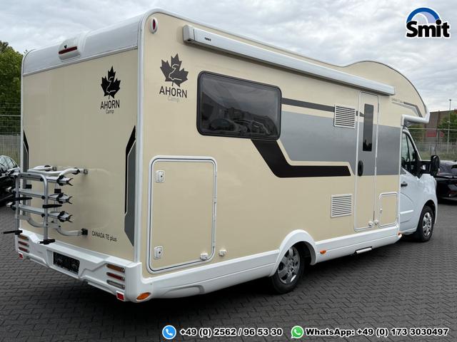 Ahorn Canada TE plus 