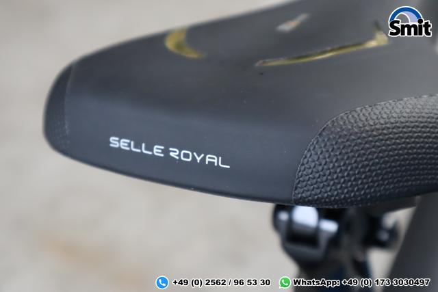 Riese & M&uuml;ller Supercharger GT touring, 49 cm, silver matt, 