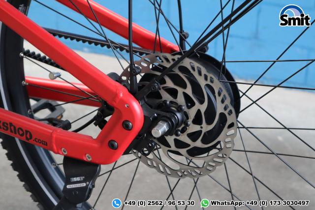 Riese & M&uuml;ller Delite GT vario, 56 cm, chili matt 