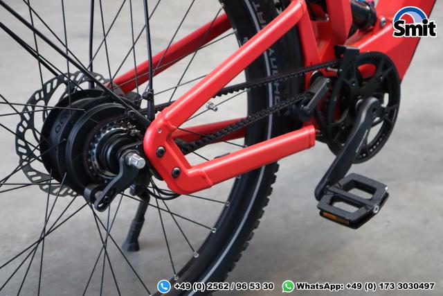 Riese & M&uuml;ller Delite GT vario, 56 cm, chili matt 