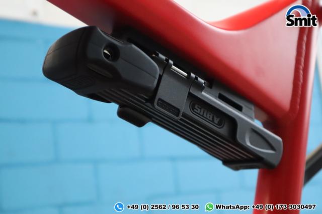 Riese & M&uuml;ller Delite GT vario, 56 cm, chili matt 