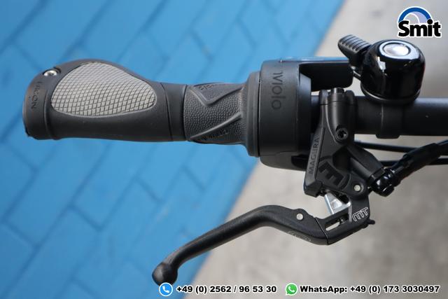 Riese & M&uuml;ller Delite GT vario, 56 cm, chili matt 