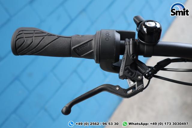 Riese & M&uuml;ller Delite GT vario, 51 cm, chili matt 