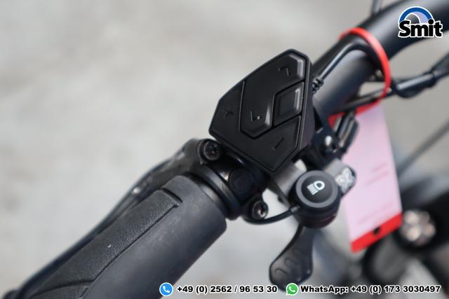 Riese & M&uuml;ller Delite GT vario, 51 cm, chili matt 