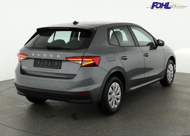 Skoda Fabia Selection 1.0 TSI Selection, Park, Winterpaket, SmartLink, 4-J Garantie 