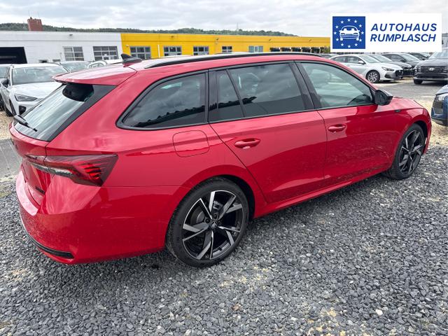 Skoda / Octavia / Grau / / / 