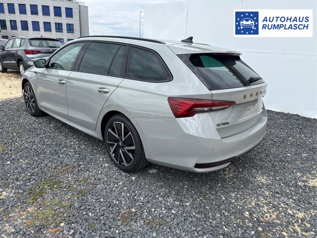 Skoda / Octavia / Grau / / / 