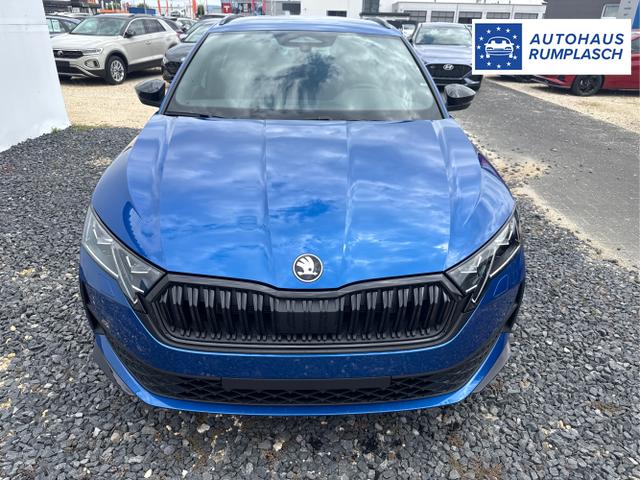 Skoda / Octavia / Grau / / / 