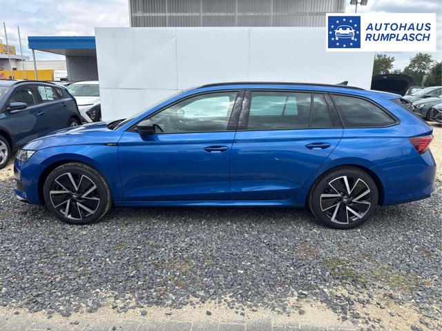 Skoda / Octavia / Grau / / / 