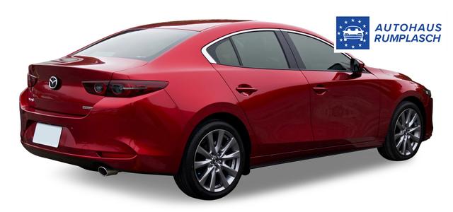 Beispielbilder, ggf. teilweise mit Sonderausstattung