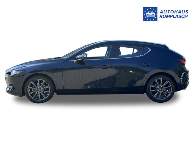 Beispielbilder, ggf. teilweise mit Sonderausstattung