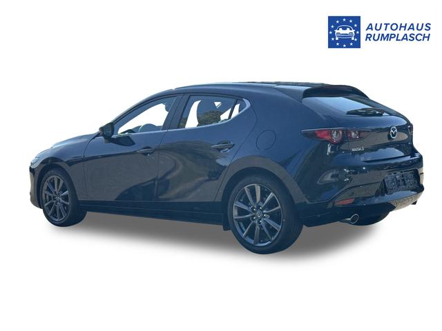 Beispielbilder, ggf. teilweise mit Sonderausstattung