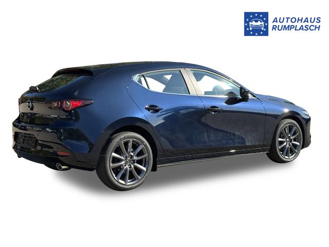 Beispielbilder, ggf. teilweise mit Sonderausstattung