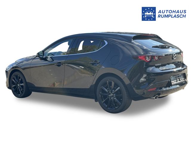 Beispielbilder, ggf. teilweise mit Sonderausstattung