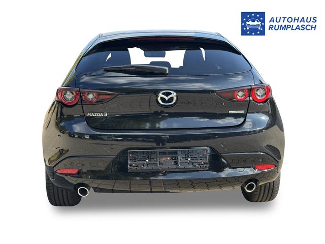 Beispielbilder, ggf. teilweise mit Sonderausstattung