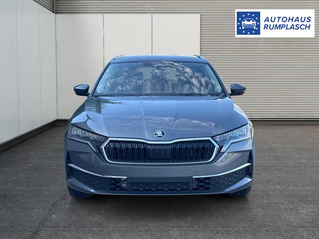 Skoda / Octavia Combi / Grau / / / ACC+AHK+eHK+KAM+PDC+LED+17 ALU+SHZ