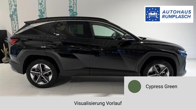 Tucson Cypress Green Vorlauf