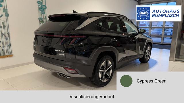 Tucson Cypress Green Vorlauf