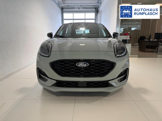 Ford Puma ST-Line Cactus Grau Dach Schwarz