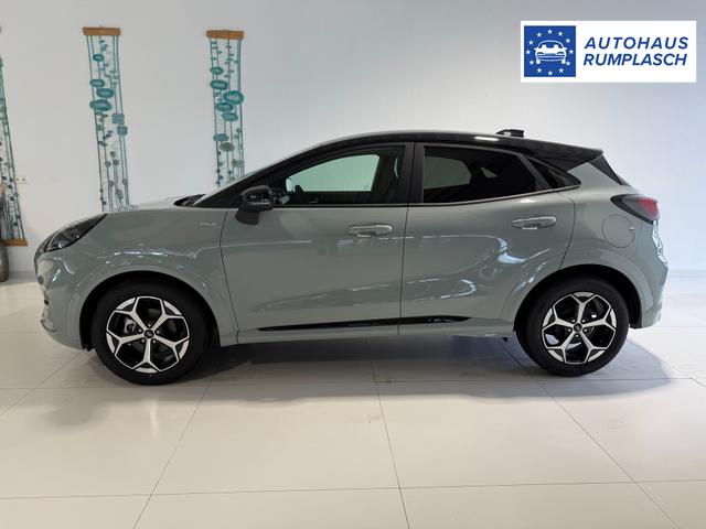Ford Puma ST-Line Cactus Grau Dach Schwarz