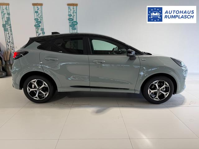 Ford Puma ST-Line Cactus Grau Dach Schwarz