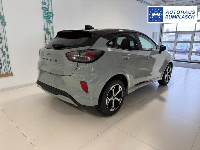 Ford Puma ST-Line Cactus Grau Dach Schwarz