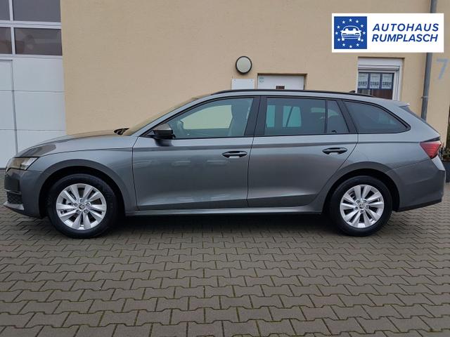 Skoda / Octavia / Grau / Selection / / 