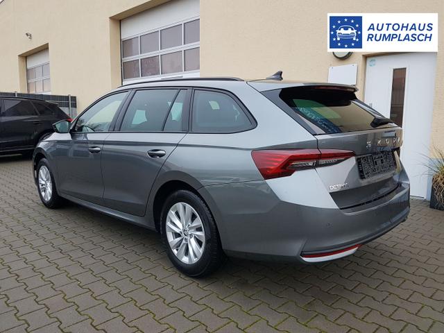 Skoda / Octavia / Grau / Selection / / 
