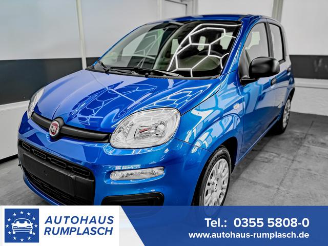 Fiat Panda - Pandina KLIMA PDC EL.PAKET 5 Kopfst&uuml;tzen