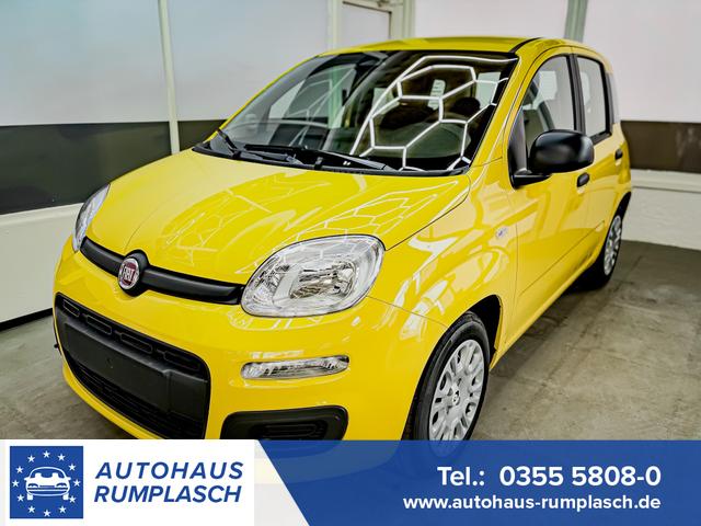 Fiat Panda - Pandina KLIMA PDC EL.PAKET 5 Kopfst&uuml;tzen