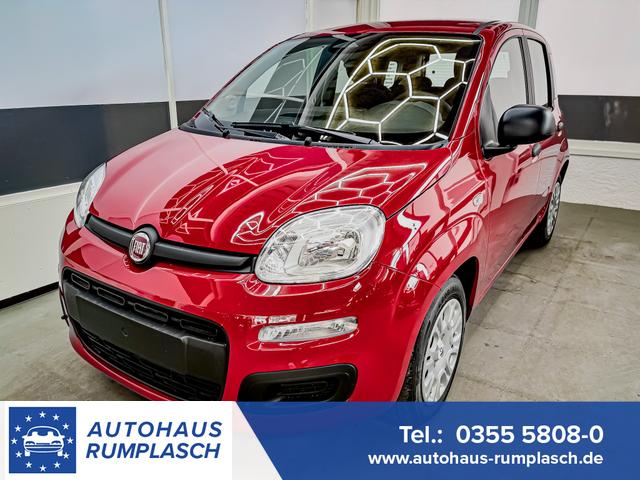 Fiat Panda - Pandina KLIMA PDC EL.PAKET 5 Kopfst&uuml;tzen