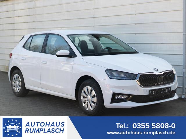 Skoda Fabia - Selection 1.0 TSI DSG *SHZ*LED*KLIMAAUTO.