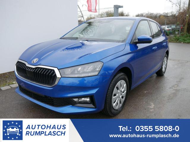 Skoda Fabia - Selection 1.0 TSI DSG*NAVI-ÜBER-SMARTLINK*LED*PDC-HI*SHZ*DAB*KLIMA