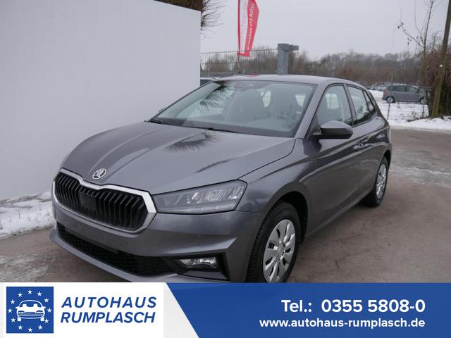 Skoda Fabia - Selection 1.0 TSI DSG*NAVI-&Uuml;BER-SMARTLINK*LED*PDC-HI*SHZ*DAB*KLIMA