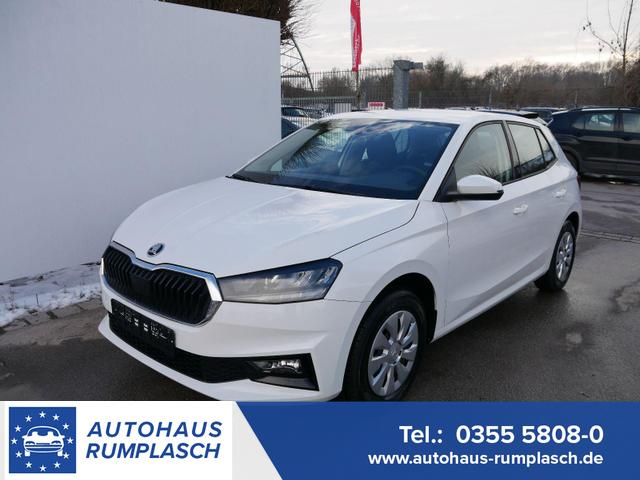Skoda Fabia - Selection 1.0 TSI *NAVI-&Uuml;BER-SMARTLINK*PDC-HI*LED*SHZ*KLIMA*RADIO