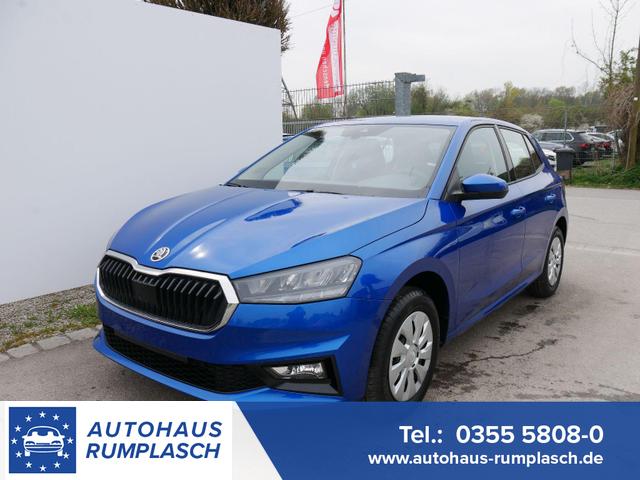 Skoda Fabia - Selection 1.0 TSI DSG*NAVI-&Uuml;BER-SMARTLINK*LED*PDC-HI*SHZ*DAB*KLIMA