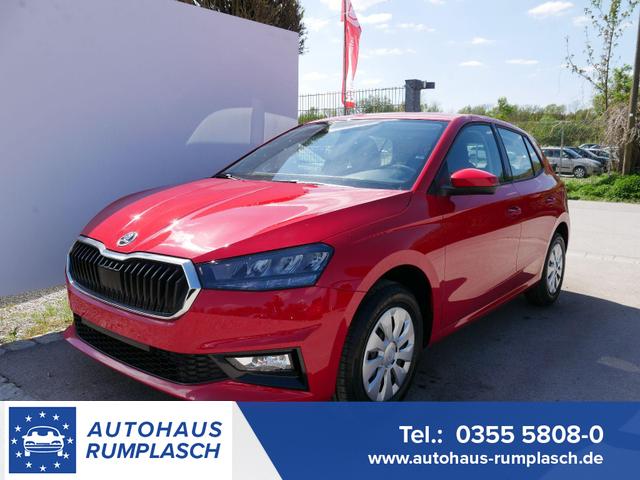 Skoda Fabia - Selection 1.0 TSI DSG*NAVI-&Uuml;BER-SMARTLINK*LED*PDC-HI*SHZ*DAB*KLIMA