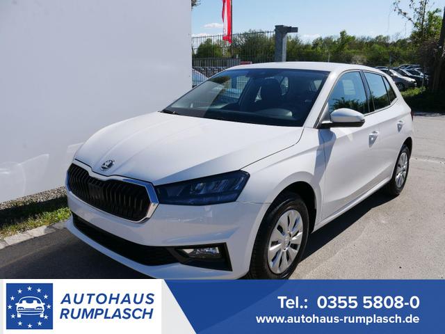 Skoda Fabia - Selection 1.0 TSI DSG*NAVI-&Uuml;BER-SMARTLINK*LED*PDC-HI*SHZ*DAB*KLIMA