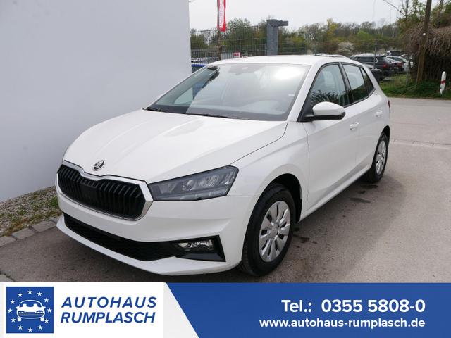 Skoda Fabia - Selection 1.0 TSI *NAVI-&Uuml;BER-SMARTLINK*PDC-HI*LED*SHZ*KLIMA*RADIO