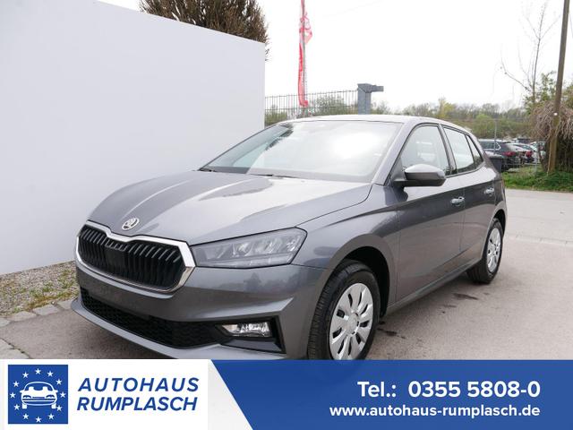 Skoda Fabia - Selection 1.0 TSI DSG*NAVI-&Uuml;BER-SMARTLINK*LED*PDC-HI*SHZ*DAB*KLIMA