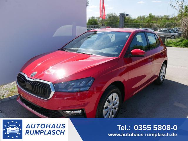 Skoda Fabia - Selection 1.0 TSI DSG*NAVI-&Uuml;BER-SMARTLINK*LED*PDC-HI*SHZ*DAB*KLIMA