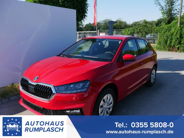 Skoda Fabia - Selection 1.0 TSI *NAVI-&Uuml;BER-SMARTLINK*PDC-HI*LED*SHZ*KLIMA*RADIO