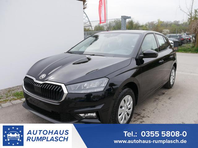 Skoda Fabia - Selection 1.0 TSI DSG*NAVI-&Uuml;BER-SMARTLINK*LED*PDC-HI*SHZ*DAB*KLIMA