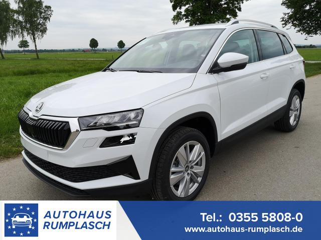 Skoda Karoq - Selection 2.0 TDI DSG 4x4 GV5 AHK 17